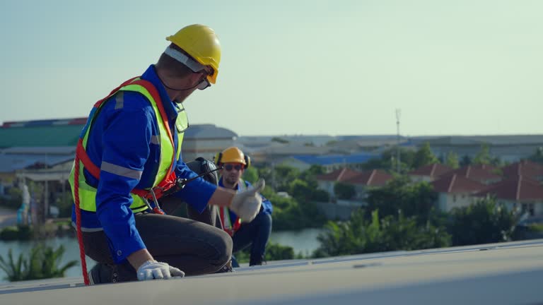 Best Roof Moss and Algae Removal  in Lake Lifornia, CA